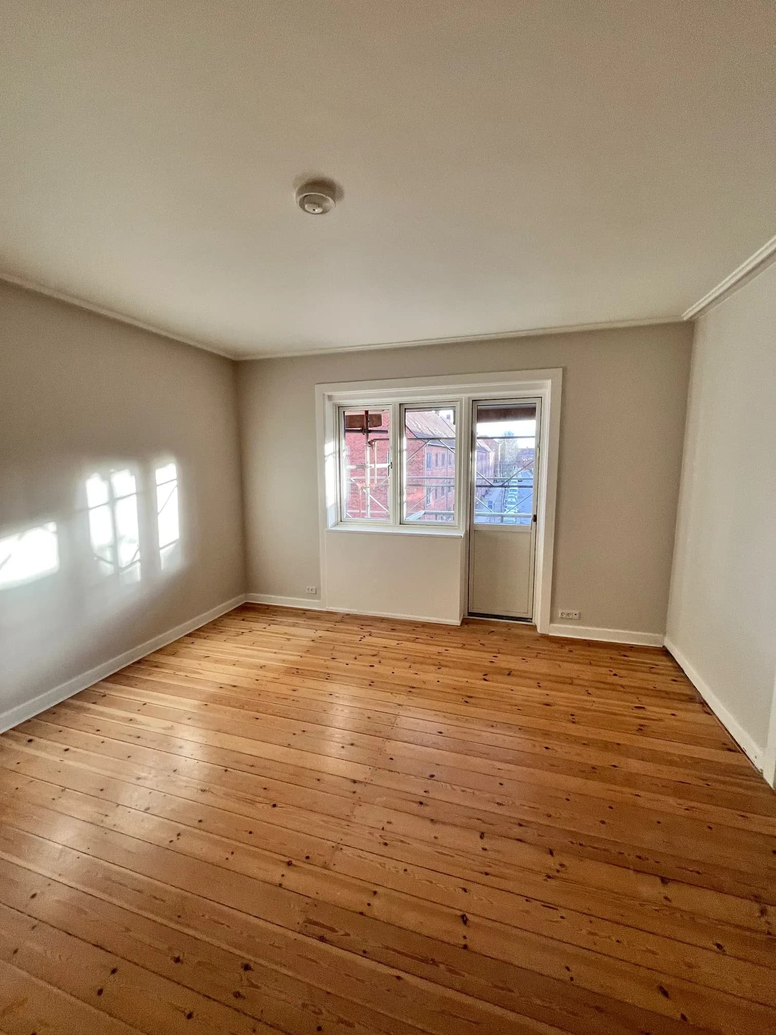 Professional Painting & Renovation